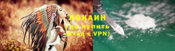 хмурый Белокуриха