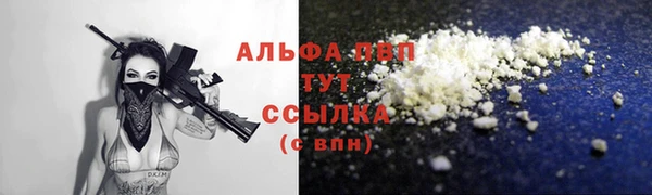 хмурый Белокуриха