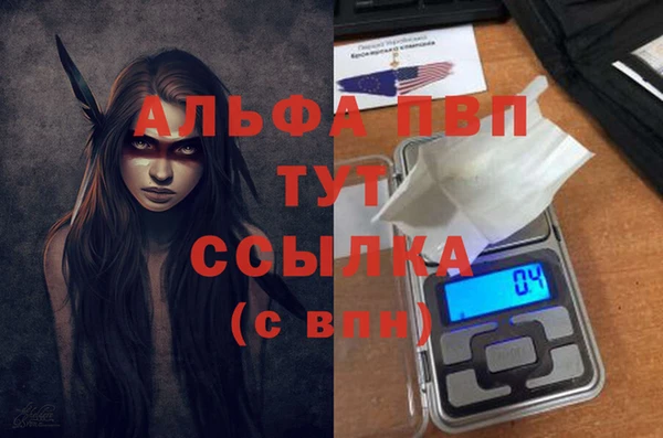ECSTASY Богданович