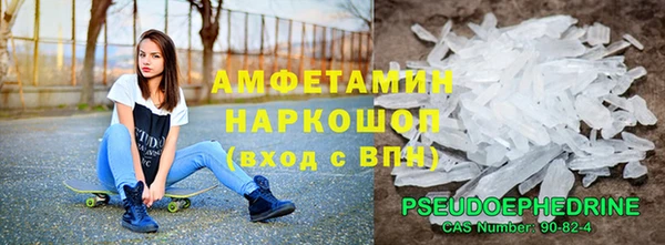 ECSTASY Богданович