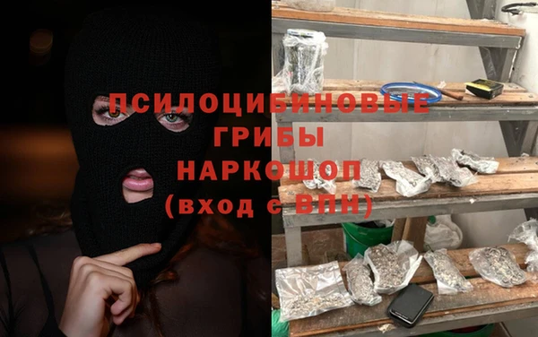 ECSTASY Богданович
