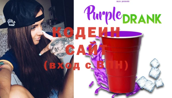хмурый Белокуриха