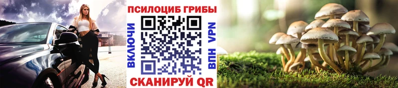 кракен tor  Белокуриха  Псилоцибиновые грибы прущие грибы 